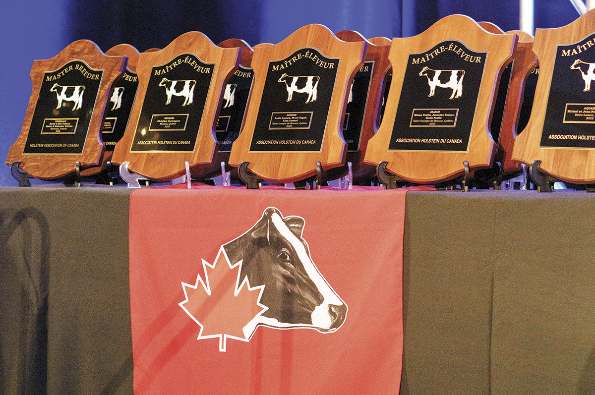 59255-kcoyne-awards.jpg