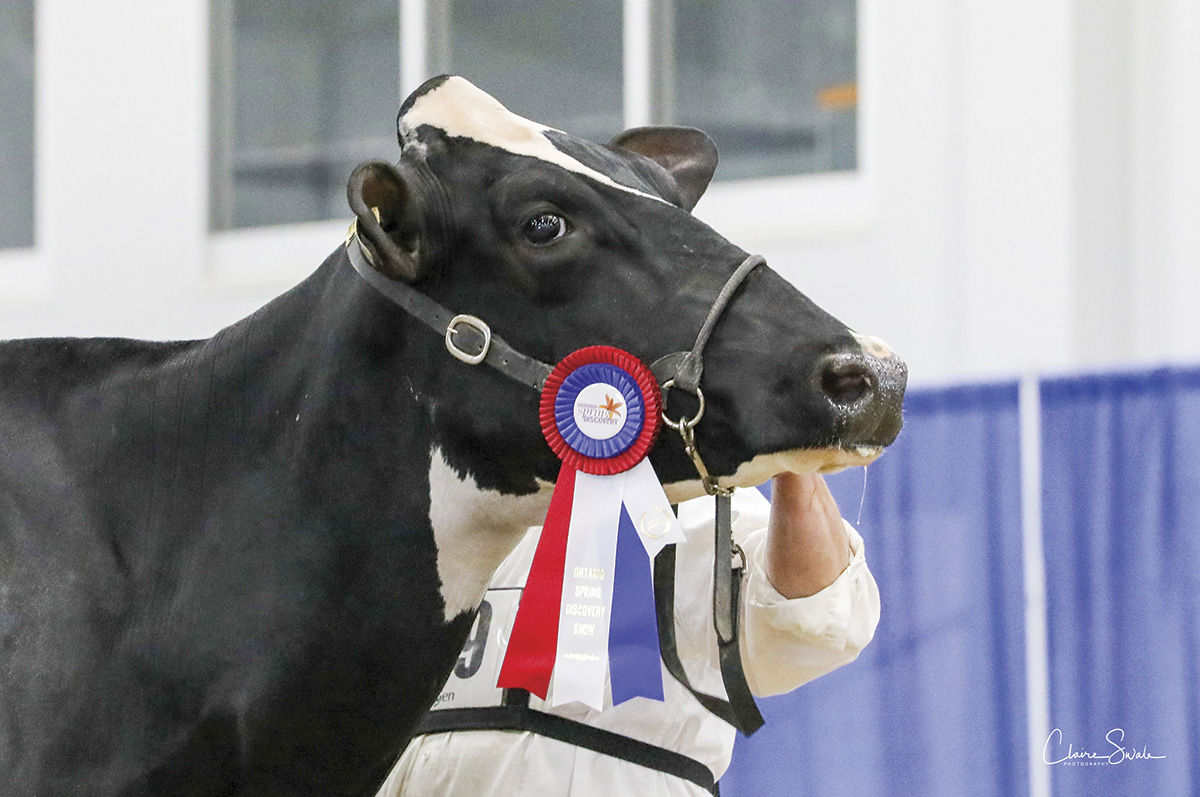 59255-kcoyne-show2.jpg