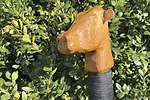 59262-kcoyne-staff.jpg