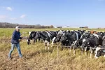 59251-schank-grassland2-29.jpg