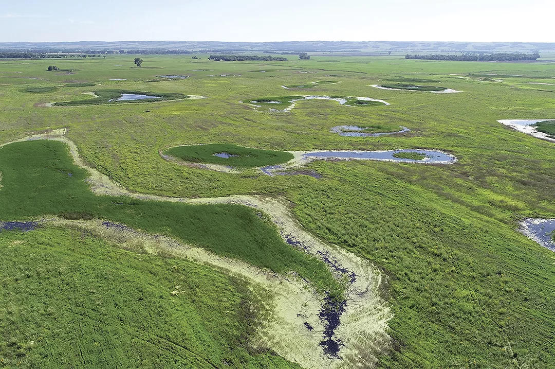 59326-hanson-SD-Wetland-Aerial_Bruce-Toay.jpg