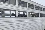59362-stocks-6095.jpg