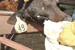 59238-newberry-3980.jpg