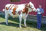 59428-george-show.jpg