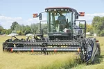 59478-mccarthy-white-teff1.jpg