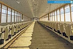 59465-townsend-edelweiss-farms.jpg