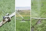 59492-keller-leaks.jpg
