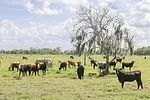 52858-IMG_3494-woolsey-edit.jpg