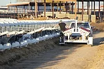 59605-dado-senn-calf-employee.jpg