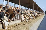 59611-ortega-jerseys.jpg