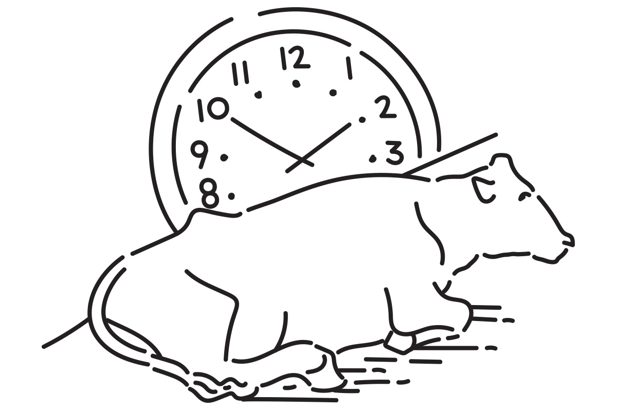 59614-erickson-line-drawings-1.jpg