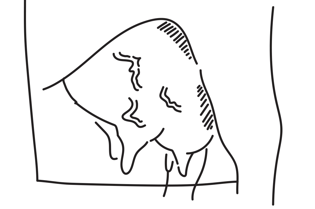 59614-erickson-line-drawings-3.jpg