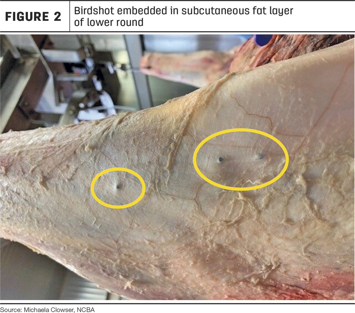 59625-duggin-fig2.jpg