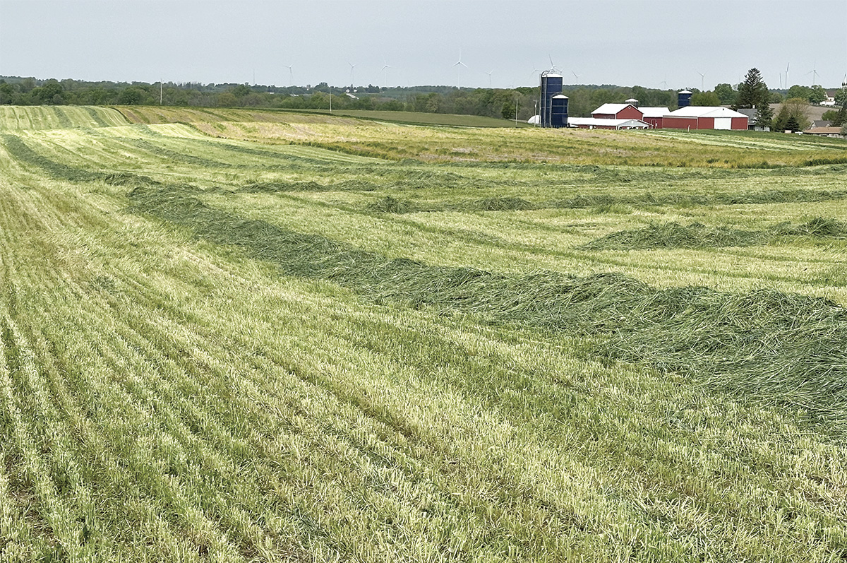 59793-peterson-burndt-family-farms.jpg