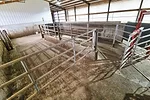 59907-pitkaranta-photo1.jpg
