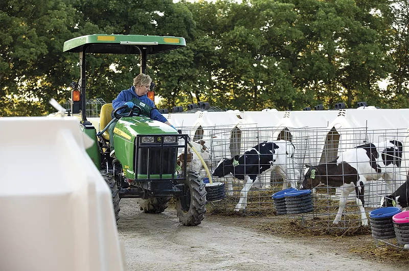 59920-vlietstra-20190625_13000_BIZAC-Dairy-Calf0104.jpg 59920-vlietstra-20190625_13000_BIZAC-Dairy-Calf0104.jpg