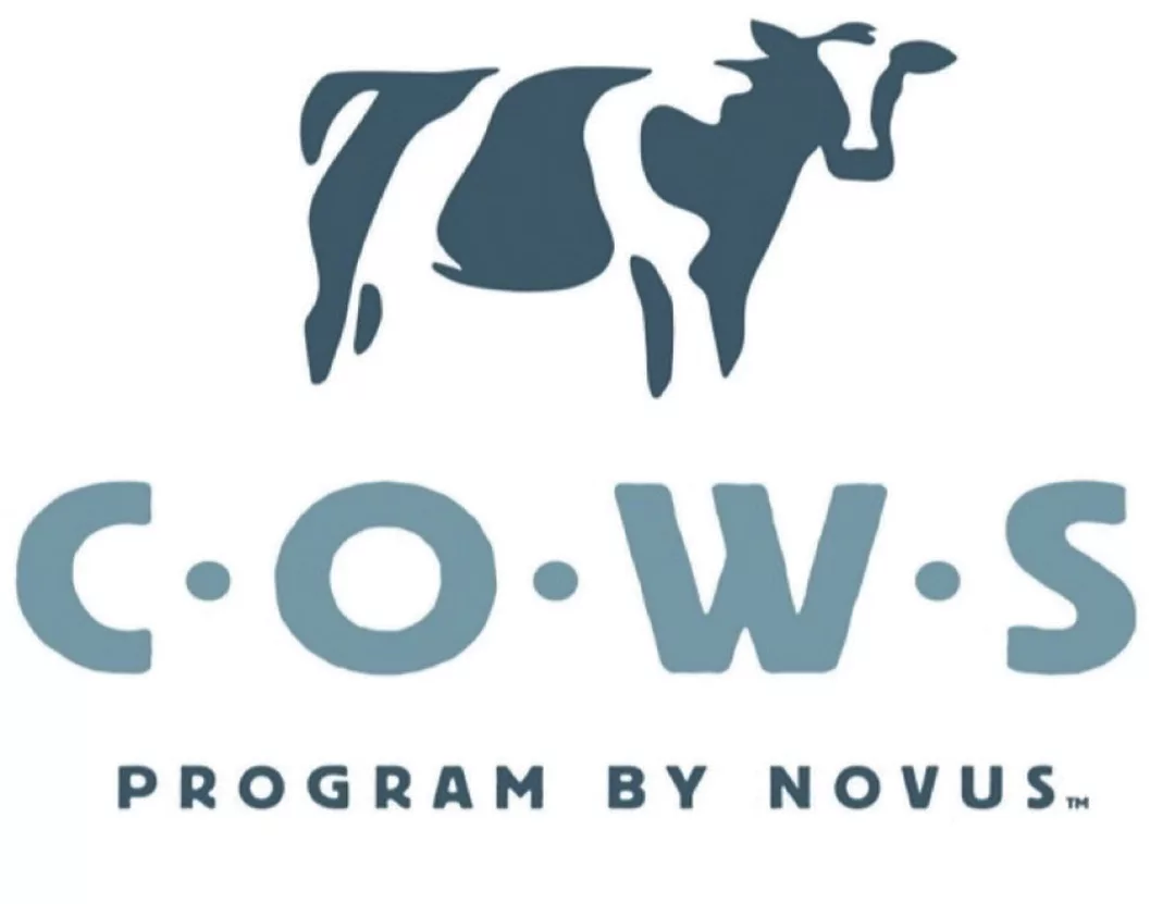 cornell-page11-cows.jpg
