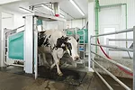 60023-voyer-on-matheson-4910.jpg