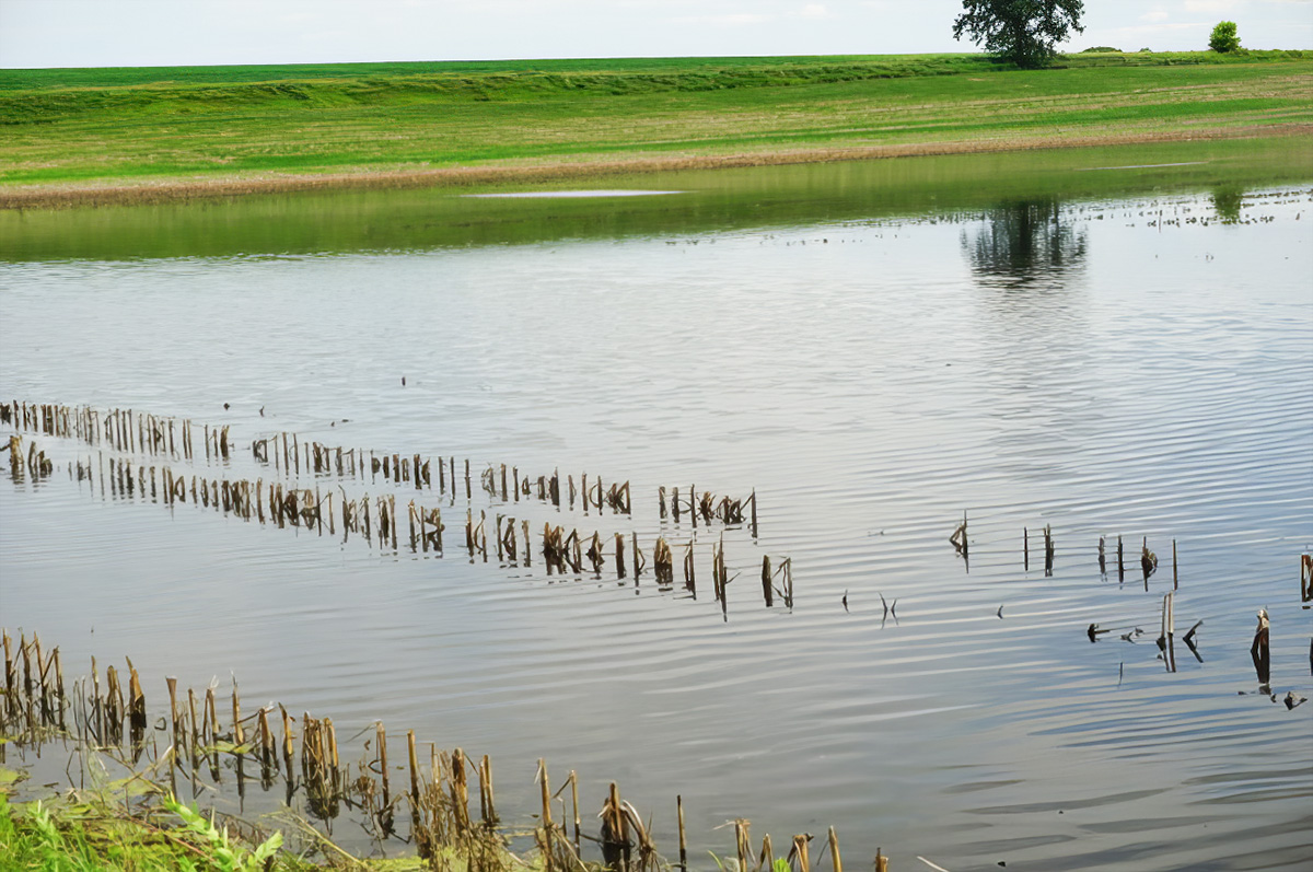 60068-rock-river-lab.jpg