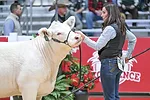 60111-ohirko-jillHarvie-rawf.jpg