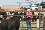 60062-dennis-sale-pmarchant.jpg