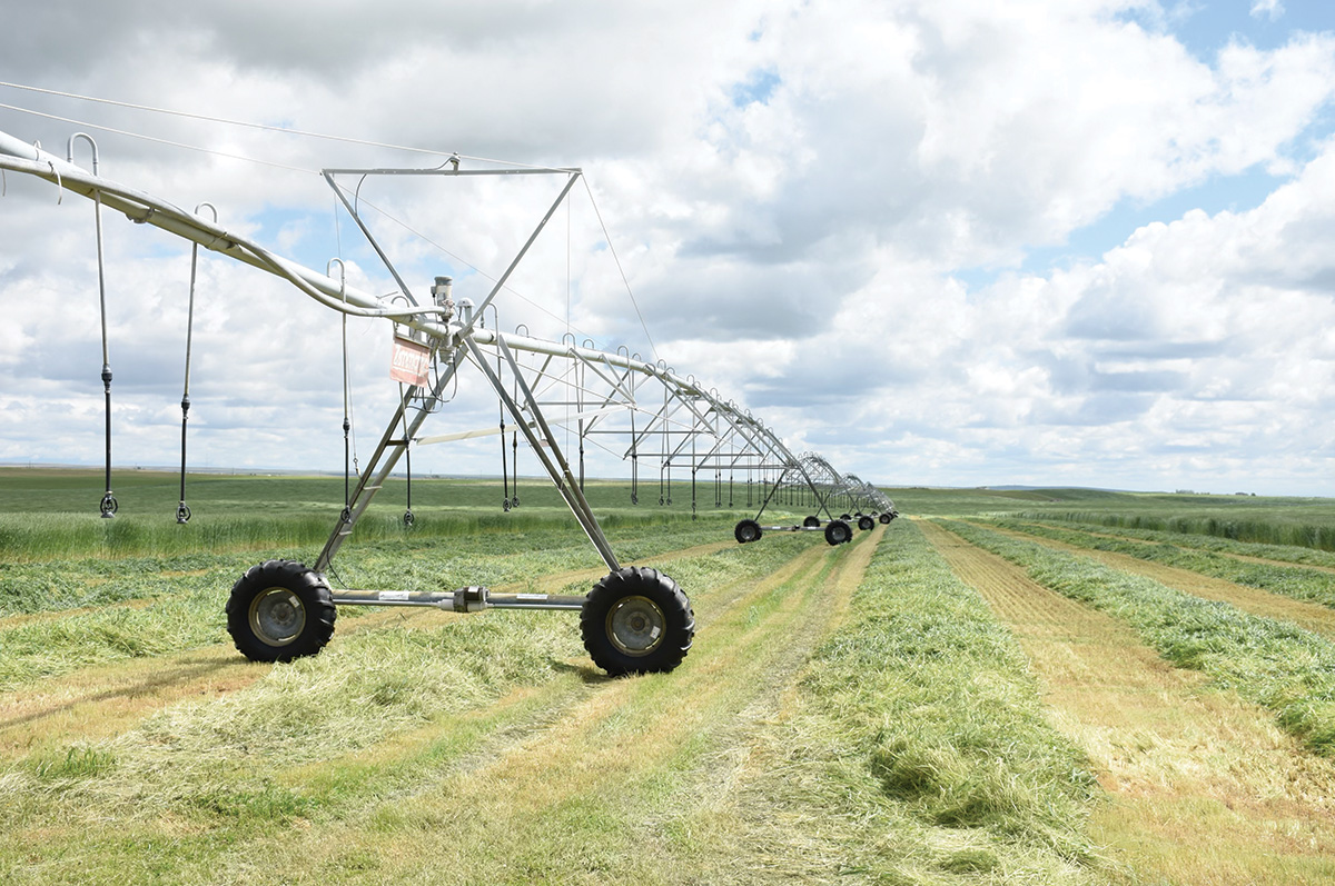 60213-woolsey-pivot.jpg