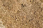 60227-rossi-silage.jpg