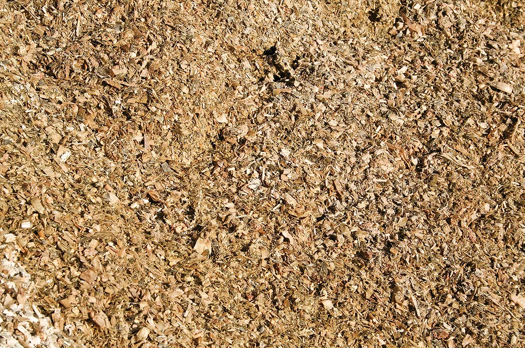 60227-rossi-silage.jpg