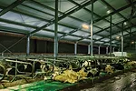 60294-biehl-1.jpg