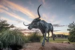 60338-marchant-Trail-of-Steers-4.jpg