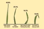 60356-poll.jpg