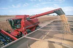60366-george-soybean-getty.jpg