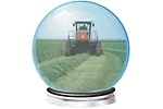 60454-miller-crystalball.jpg