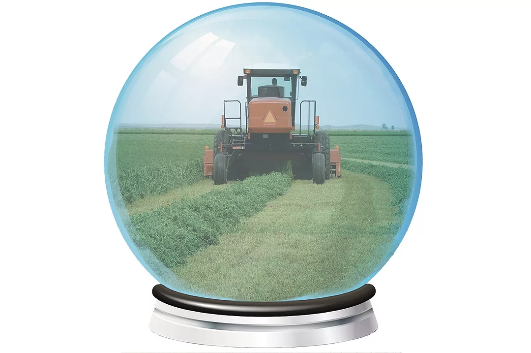 60454-miller-crystalball.jpg