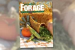 1124pf-digital-edition-feature-spot.jpg