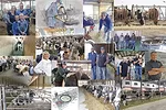 60556-Top25-Collage.jpg