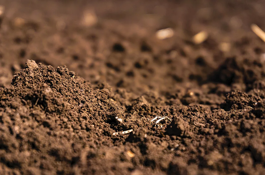 60597-bronson-soil.jpg