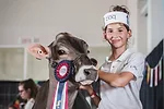 60633-bender-7.jpg