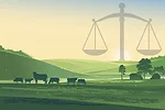 60548-lashmet-law.jpg