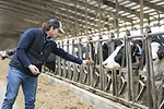 60729-schmitz-Clare-Alderink-at-Ryzebol-Dairy.jpg