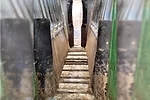 60808-schaefer-2.jpg