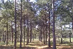 60956-omeara-017.jpg