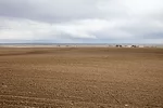 61070-yost-dirt-dixon.jpg
