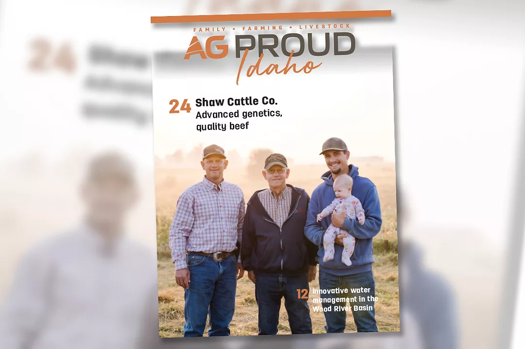 0325ap-digital-edition-feature-spot.jpg