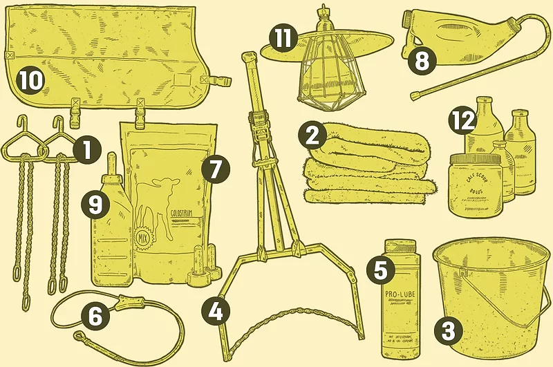 61125.neogen-calftoolkit.jpg 61125.neogen-calftoolkit.jpg