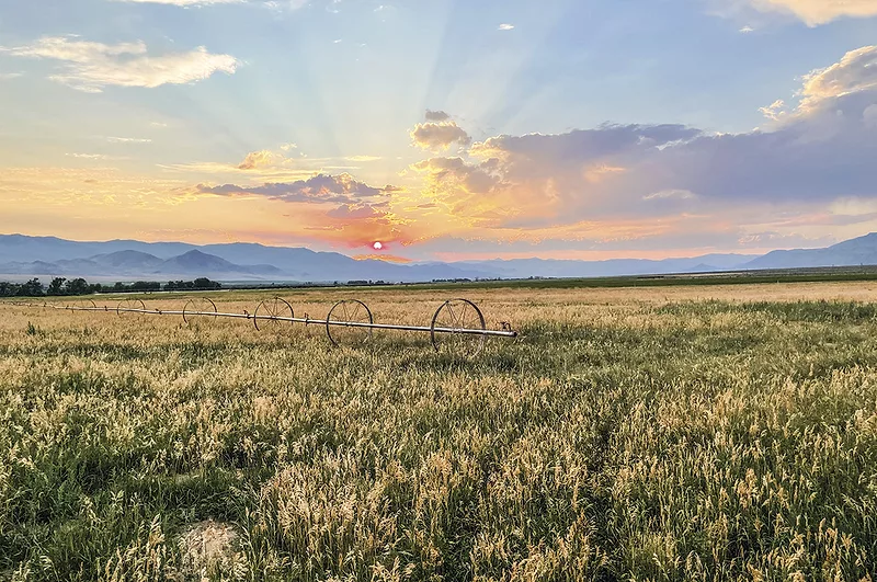 61179-thomas-O'Neal-ranch-field.jpg
