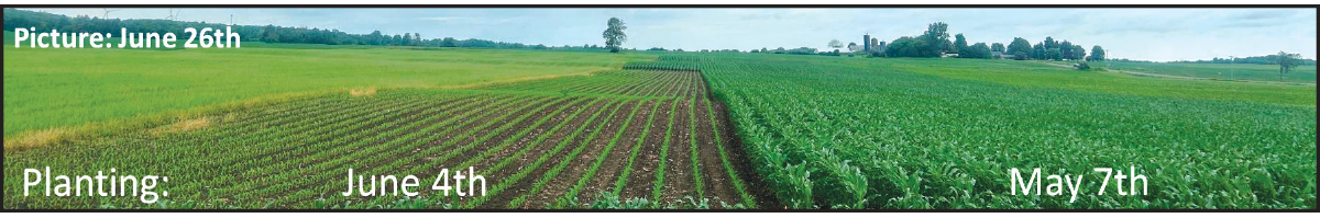 0525pd-lawrence-corn-silage-time-lapse.jpg