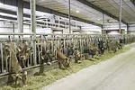 61294-schmitz-6486.jpg