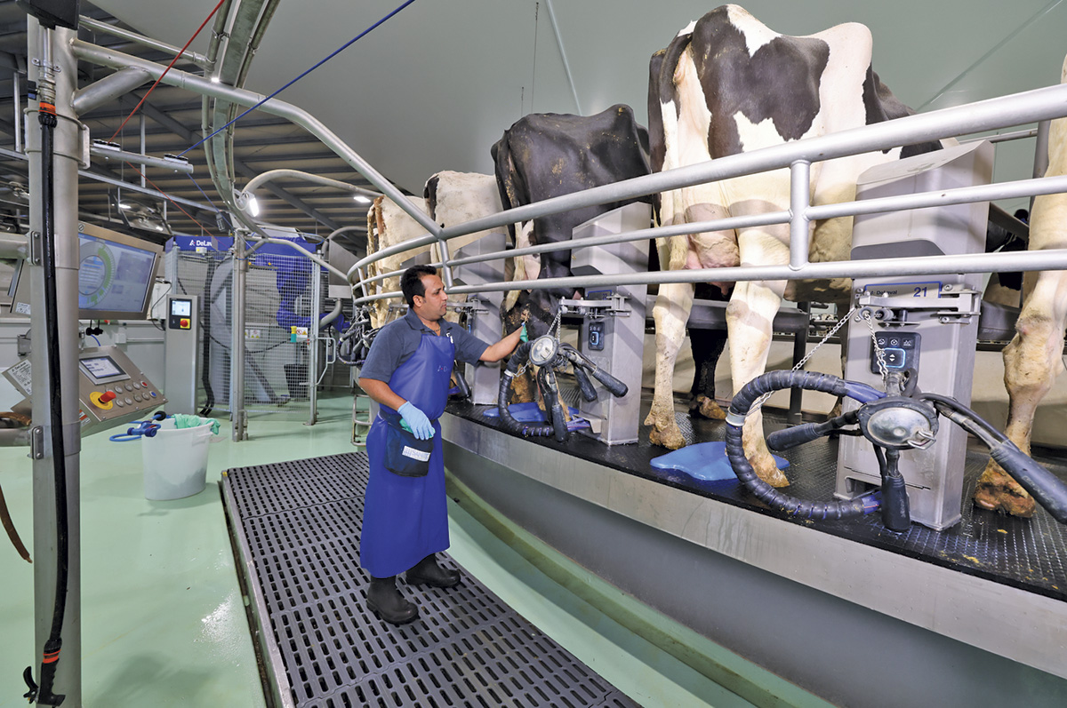61304-tapia-extra-E500-rotary-milker.jpg