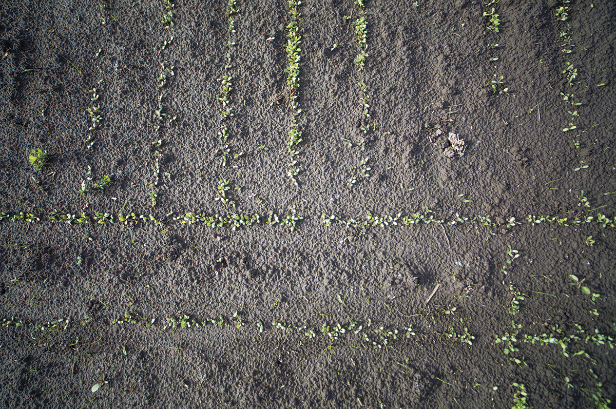 61318-meccage-aerial.jpg